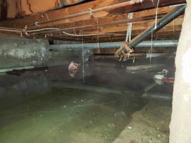 Best Flood restoration services  in Deale, MD