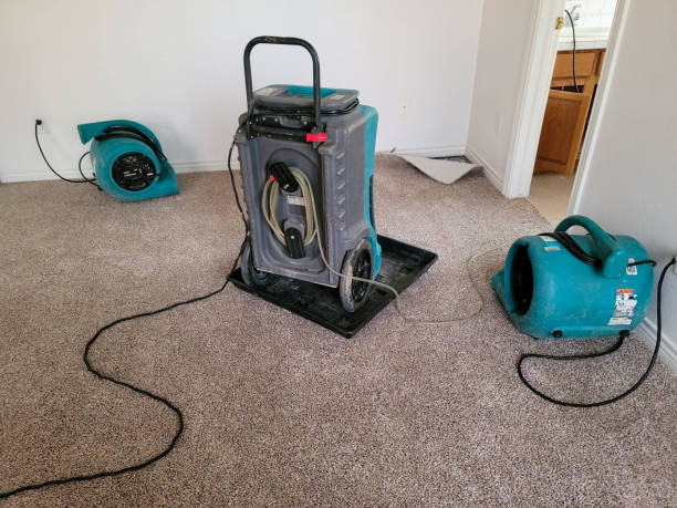 Best 24-hour water damage restoration  in Deale, MD