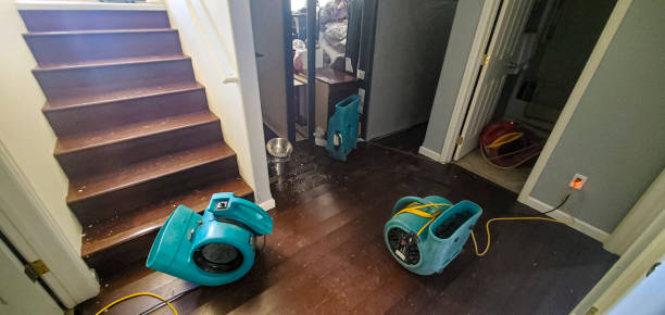 Best Water damage restoration near me  in Deale, MD
