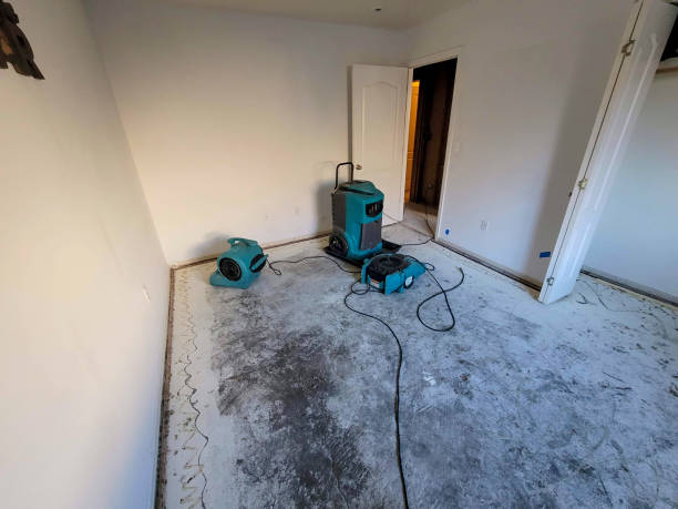 Best Water damage cleanup near me  in Deale, MD