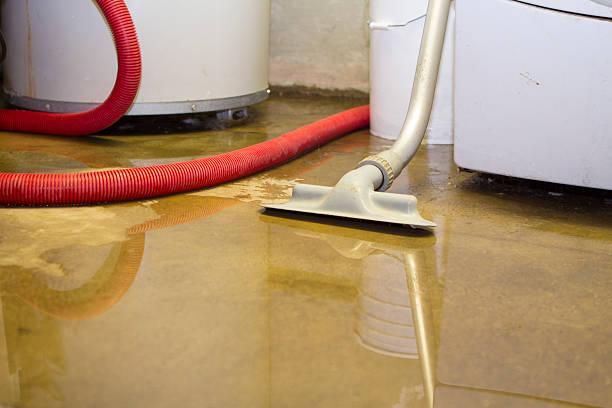 Best Mold removal after water damage  in Deale, MD