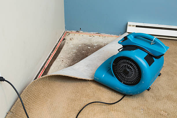 Best Commercial water damage restoration  in Deale, MD